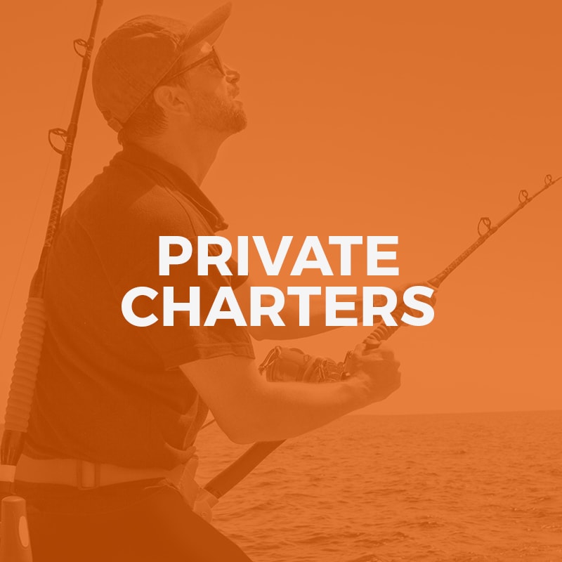 Private Charters Cairns min