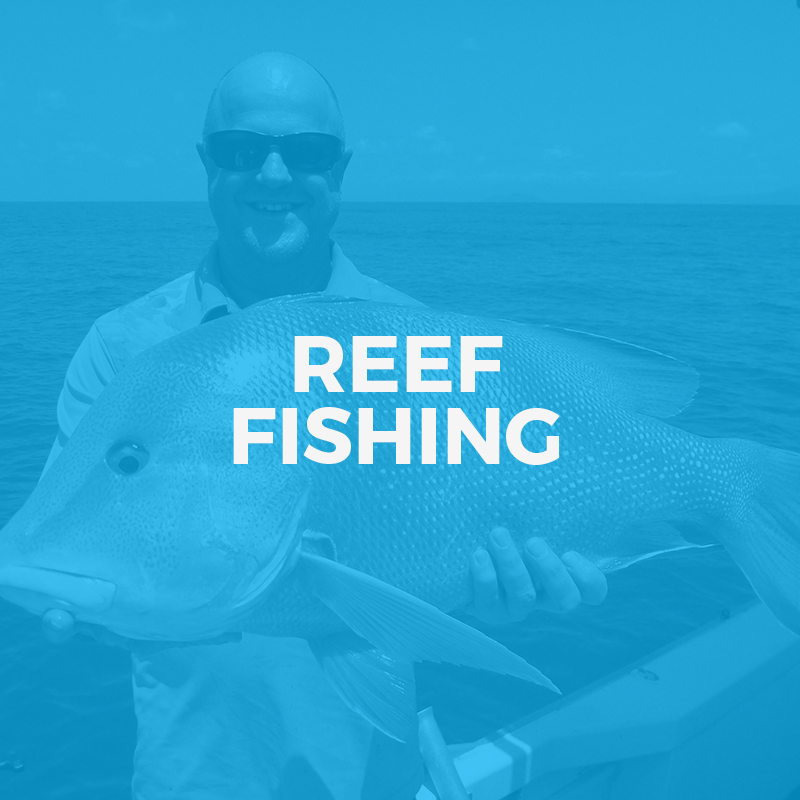reef fishing