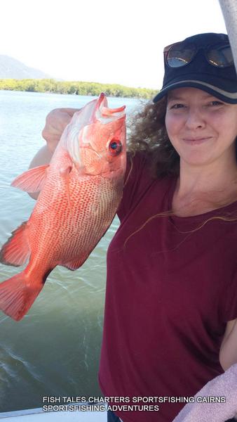 Small-mouth Nannygai (Crimson snapper) in the estuary of Trinity inlet, Cairns